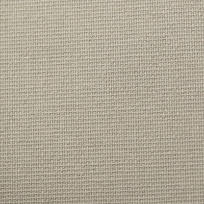 Pale Ash Fabric Sample